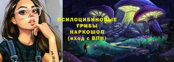 сатива Алзамай