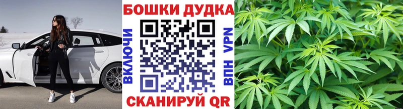 Конопля планчик  Медынь 